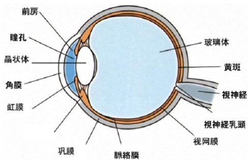 什么是角膜病？哪种情况需要进行角膜移植？
