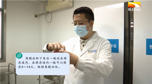 欧阳忻怡捐献眼角膜让光明延续 刘红山教授讲解角膜移植