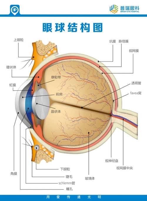 武汉糖尿病引发的眼睛问题哪家好?如何护理自己的眼睛?