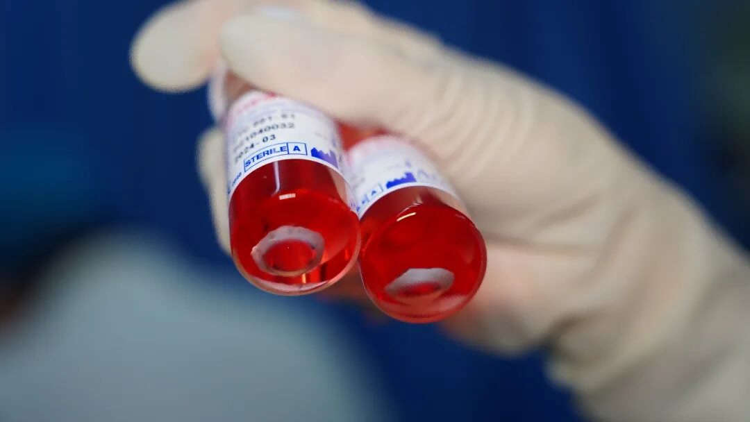 普瑞眼角膜库参与2026年3·26遗体器官捐献者纪念日活动